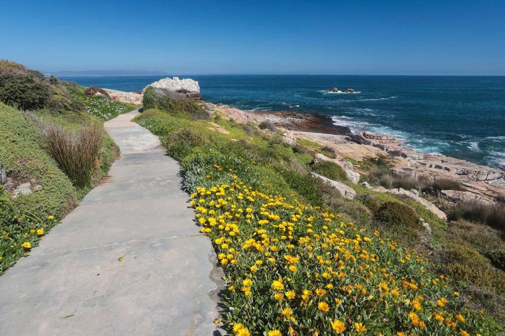 Mountain And Sea Cottage Hermanus Bagian luar foto